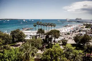 Medical Emergency Halts Cannes Screening of Almodóvar's Bitter Christmas