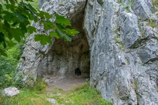 DNA reshapes Neanderthal extinction: population webs and possible human impact