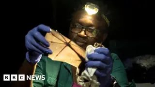 Nigerian ecologist wins Goldman Prize for community-led bat conservation