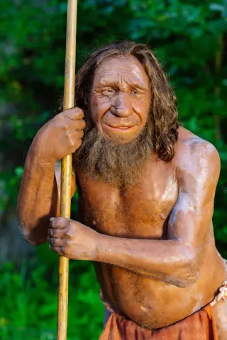 Ancient Neanderthal Variant Still Shapes Muscles and Jaws in Modern Humans