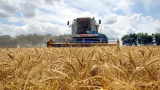 Black Sea grain lifeline at risk as Russia escalates strikes