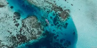 New study identifies three common factors behind global conservation 'bright spots'