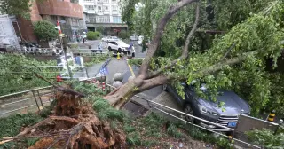 China bets on AI weather forecasts to sharpen typhoon warnings