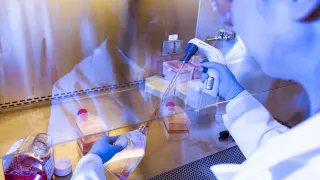 Origin Genomics Pushes Gene-Edited Embryo Research Amid Legal and Ethical Backlash