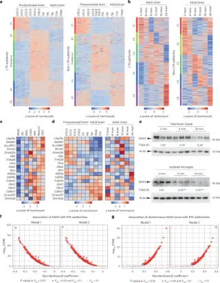 Aging erodes microglial chromatin, unleashing retroelements to fuel inflammation and senescence
