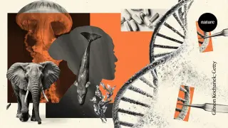 DNA repair boosters eye longevity: nature’s clues to longer health