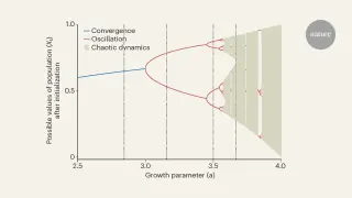Fifty years on: how a lone equation revealed biology’s chaotic edge
