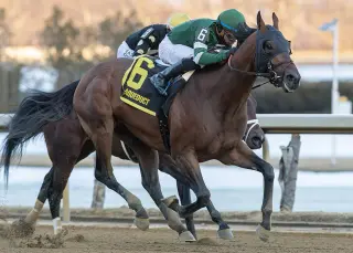 Iron Honor Emerges as Morning-Line Favorite in a Wide-Open Preakness 151