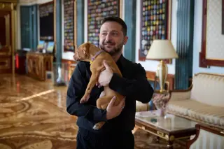 Ukraine's Zelenskyy Uses Symbolic Puppy Moment to Fortify Visual War Narrative