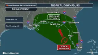 Florida Braces for Bertha: Tropical Storm Expected, Not a Hurricane