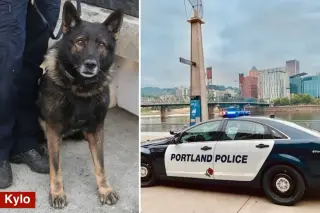 Portland K-9 Kylo dies on final shift during fatal shootout with murder suspect