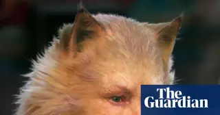 Judi Dench calls 2019 'Cats' film a 'waste of goodwill' in new memoir