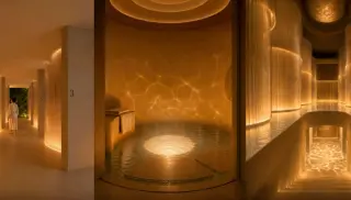Midjourney ventures into medical imaging with spa-style water-body scans