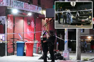 Brooklyn stray bullet kills mom of five outside Crown Heights bar