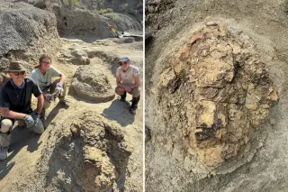 Running T-Rex Trackway Unearthed in North Dakota, a Paleontological First