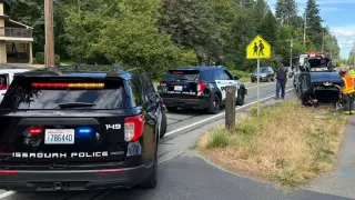 Tesla's Rear Severed in Issaquah Crash While in Full Self-Driving Mode