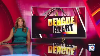 Miami-Dade Reports Local Dengue Case, Urges Mosquito Precautions