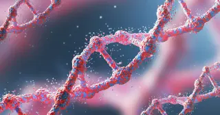 Eight Percent DNA: How Ancient Viruses Built the Placenta