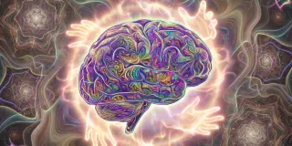 High-dose psilocybin briefly revives function in advanced Alzheimer's: a case study