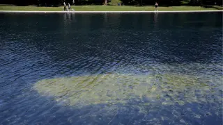 Knife-Sliced Liner Detected in Lincoln Memorial Reflecting Pool Renovation