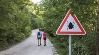 Rare Lyme Variant Emerges in New York, First Local Case of B.‑mayonii