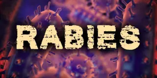 Rabies exposure from raccoon leads to dog euthanization and three people treated in Jefferson County