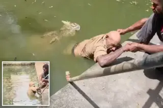 Crocodile Dragged a Park Handler Into a Pool in PNG, Worker Dies After Prolonged Attack