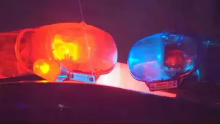 Fatal Glider Collision in Edinburg Leaves One Pilot Dead, Another Uninjured