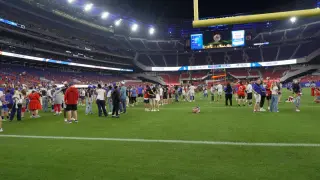 Bills' new stadium grass earns early praise despite seating sightlines
