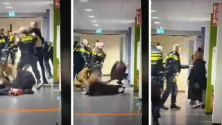 Dutch Police Detains Pregnant Palestinian Woman, Sparking Global Outcry