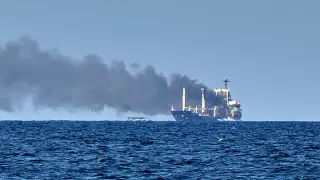 Black Sea Blockade Sparks Global Food Shock Risks and Migration Pressure