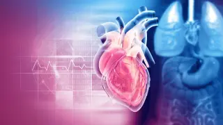 Calcium heart scans gain value mainly for middle-risk patients