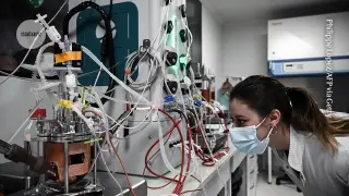 Europe’s blueprint to become a bioengineering powerhouse: three bold changes