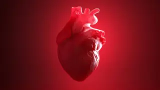 Novo Nordisk halts two anti-inflammatory heart-trial programs after setbacks