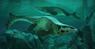 Sea's T. rex: Scientists identify Tylosaurus rex as a giant mosasaur