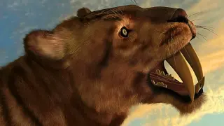 Ancient Saber-Toothed Cats Were Health-Compromised by Inbreeding, Study Says