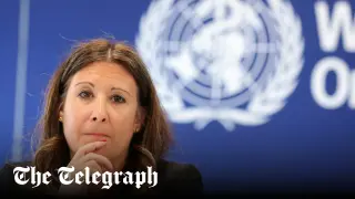 Hantavirus outbreak reaches a make-or-break moment, WHO warns