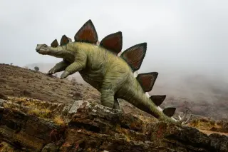 One Spanish Skull Rewrites the Stegosaur Family Tree