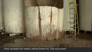 900,000 Liters of Abandoned Fish Sauce Prompt Cleanup—and a Chemistry Lesson