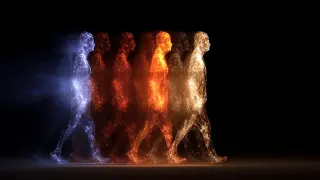 Human Origins Reframed as a Continental Genetic Network
