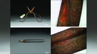 600-year-old Ming dynasty tools reveal earliest topical anesthetic from wolfsbane
