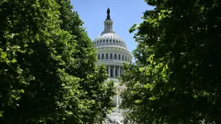 Trump's grip loosens: GOP lawmakers push back as midterms loom