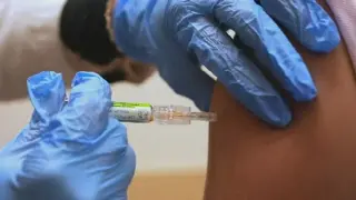 Florida Moves to Drop Four School Vaccines, Expands Exemption Options