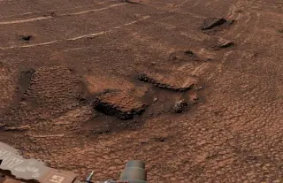 Curiosity Spots Ground-Level Sea of Small Polygonal Cracks on Mars