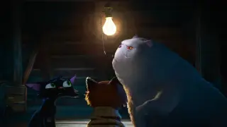 Pixar’s Gatto Debuts Trailer with Ruffalo and Fishburne in Venice Cat Tale