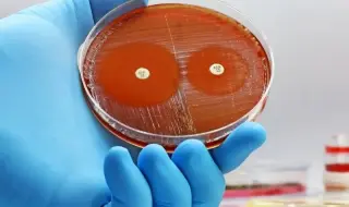 Merck Discontinues Recarbrio, Narrowing Options for Resistant Infections