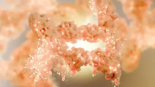 Hidden in the nucleus, a fat-burning protein rewrites obesity biology