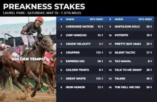 Golden Tempo Faces Stiff Challenge in Preakness Fair Odds