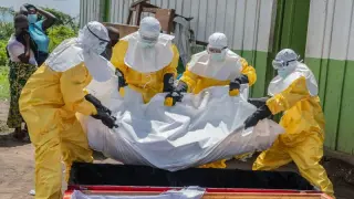 Bushmeat, rites and forests: why Ebola keeps flaring in the DRC