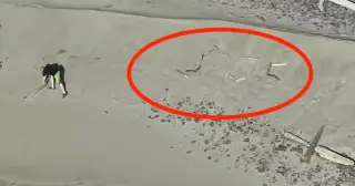 Driftwood SOS on Oregon’s Lost Boy Beach Sparks Rescue